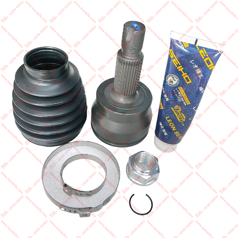 495L2-L1200_LEON