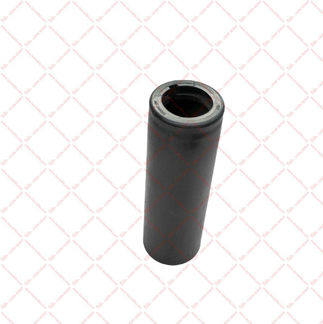 J42-2915024_LEON