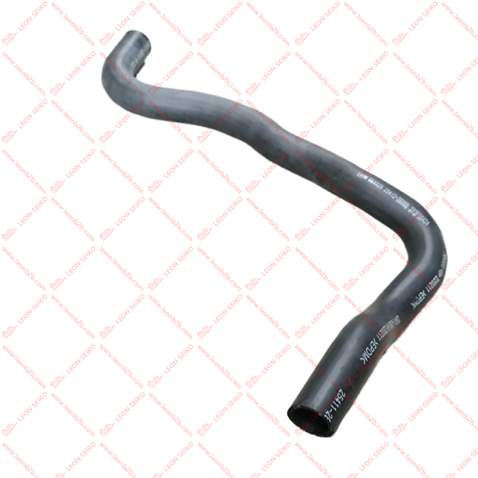 25412-2G300_LEON