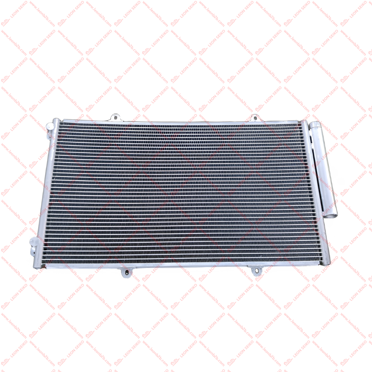 13583420-00_LEON