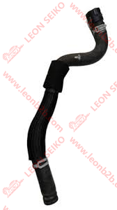 96969577_LEON