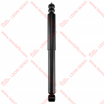 T21-2915001_LEON