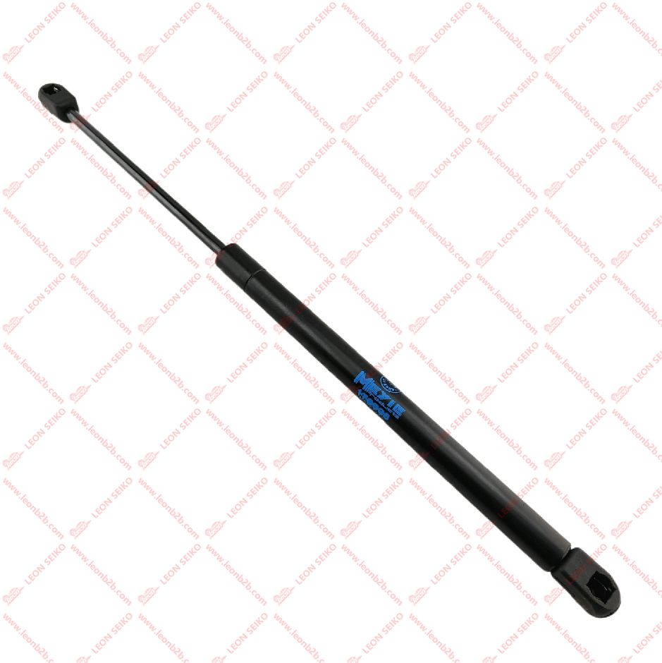 176605_MEYIE