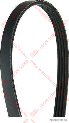 4PK840_LEON