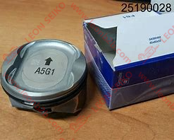 25190028_LEON