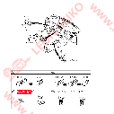 93790-1F500_LEON