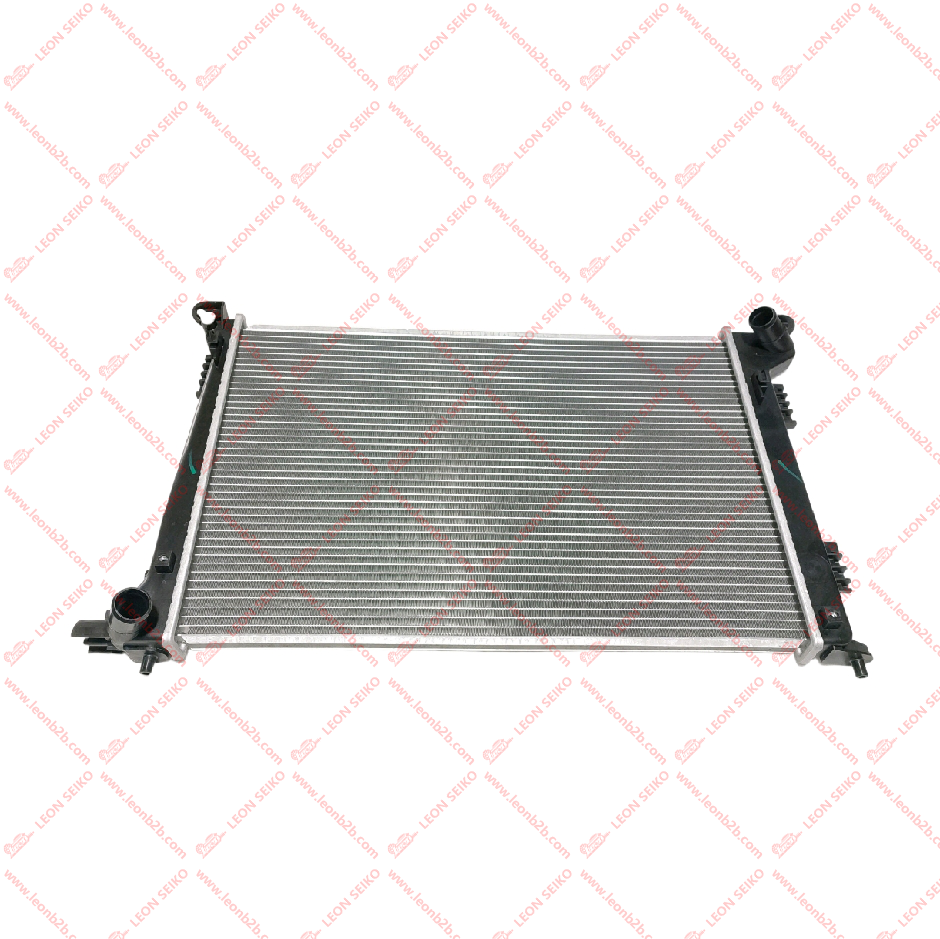25310-D9900_LEON