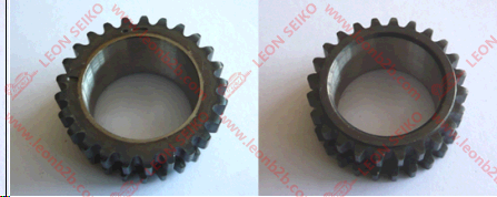 03F105209G_LEON