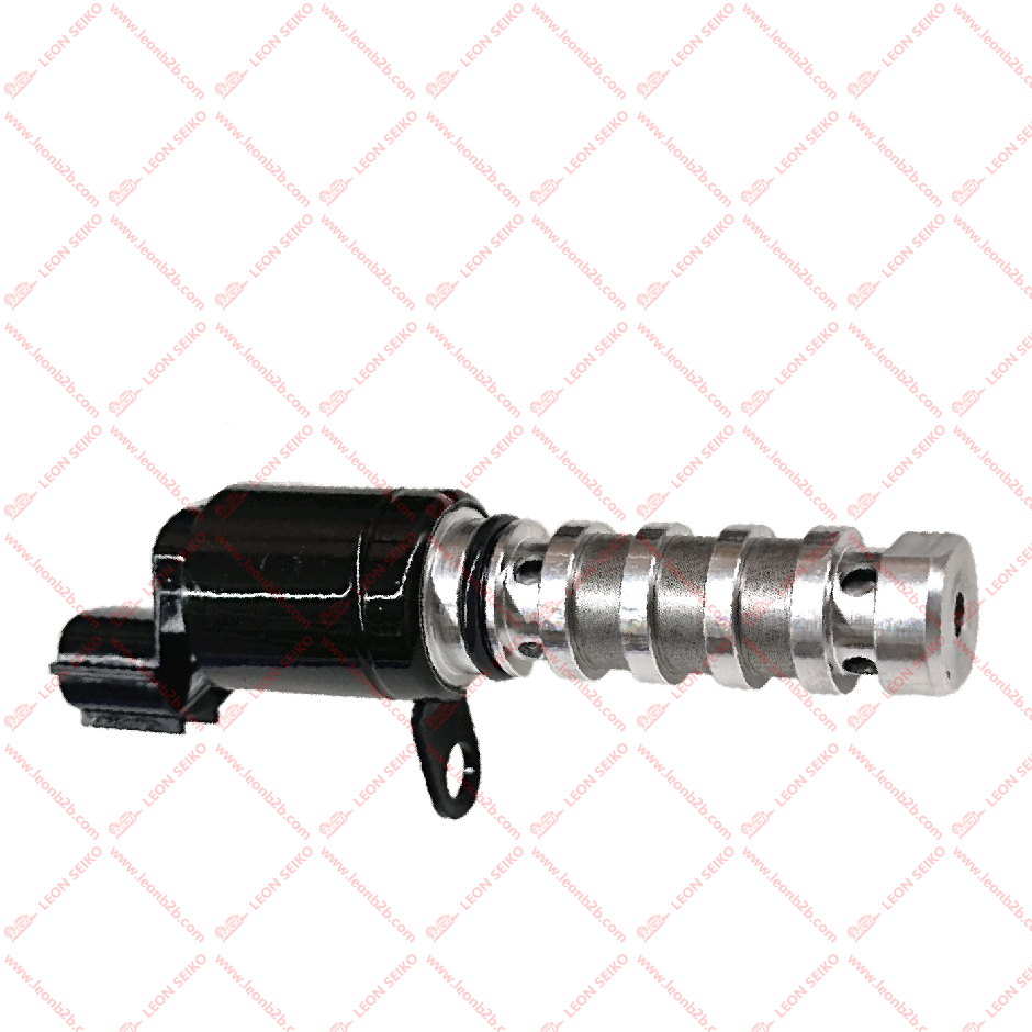 24355-03011_LEON
