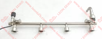 55571536_LEON