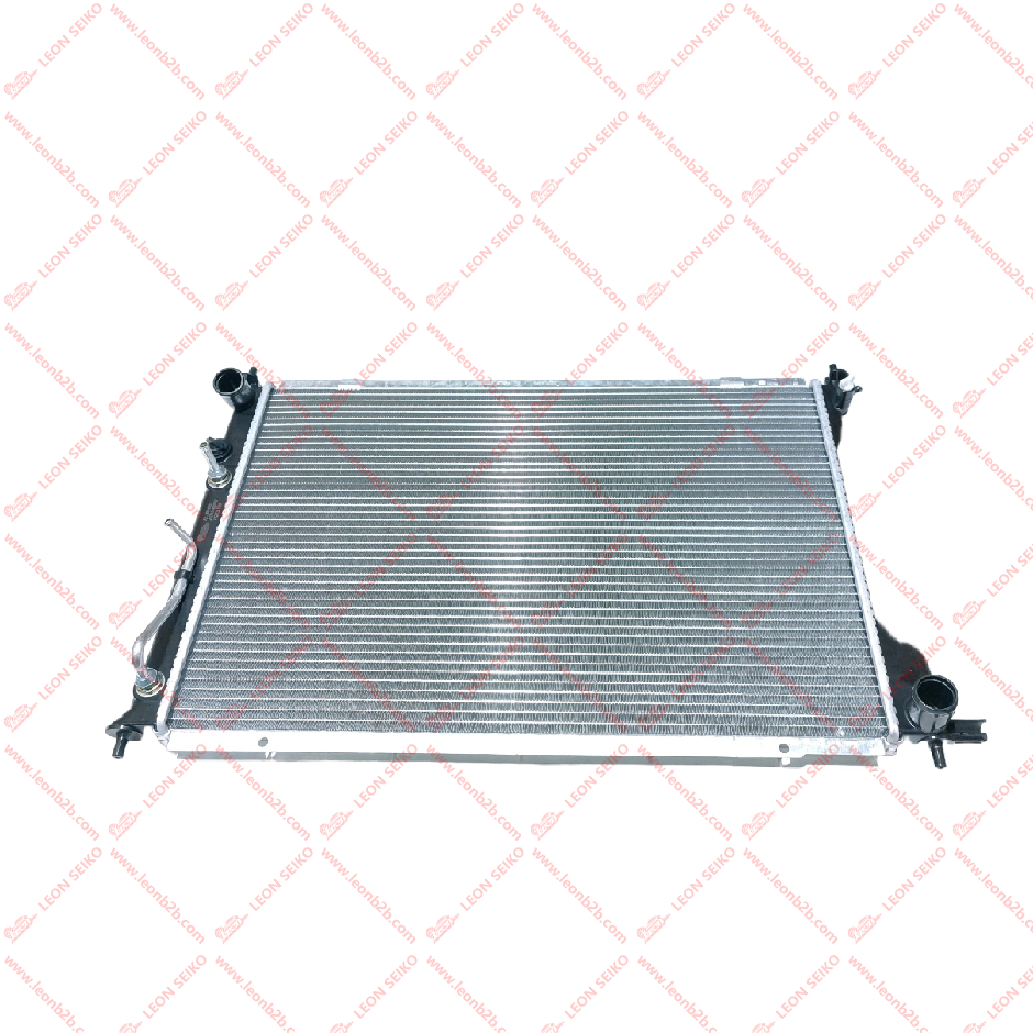 25310-4A050_LEON