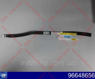 96648656_LEON