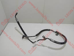 95186485_LEON