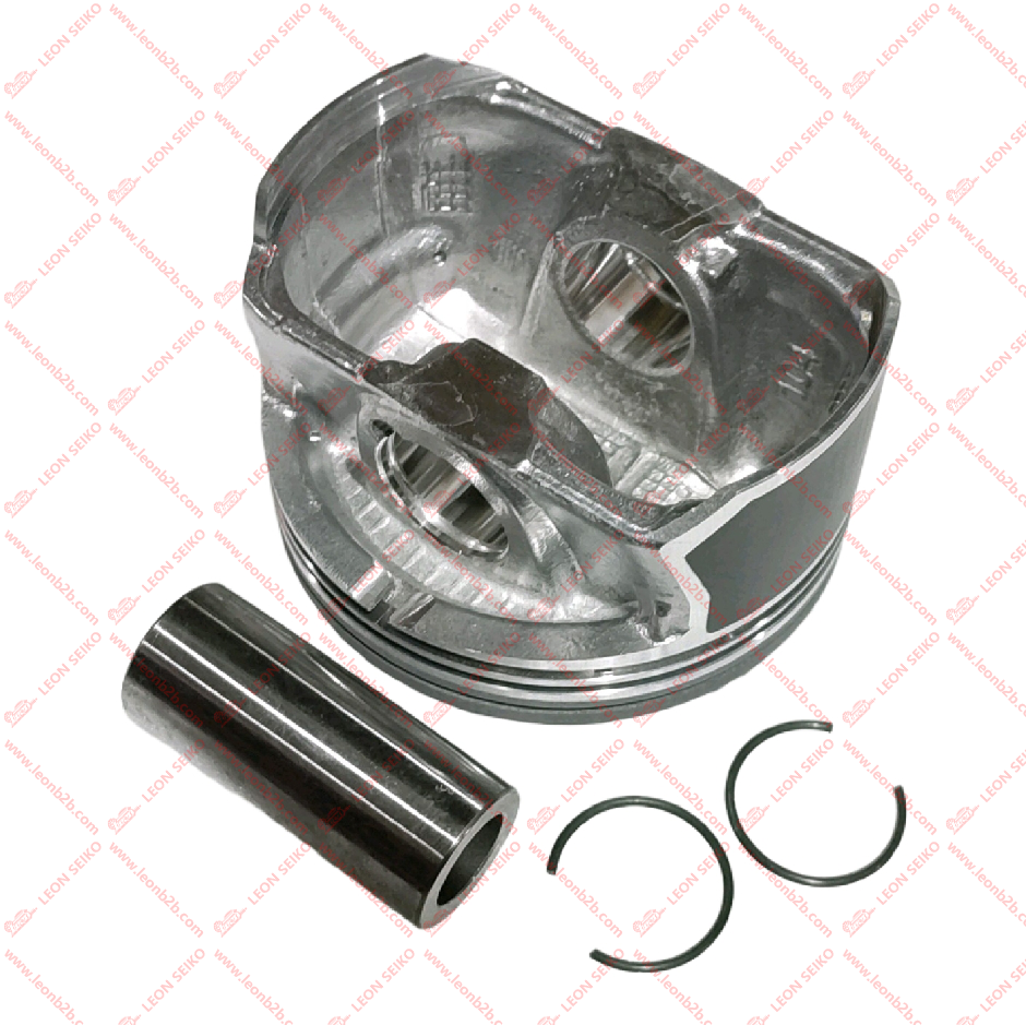 23041-2G501 STD_LEON