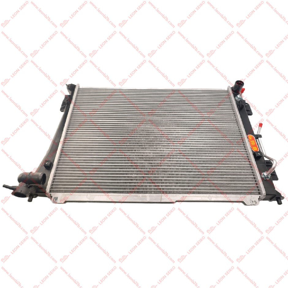 25310-3S650_LEON
