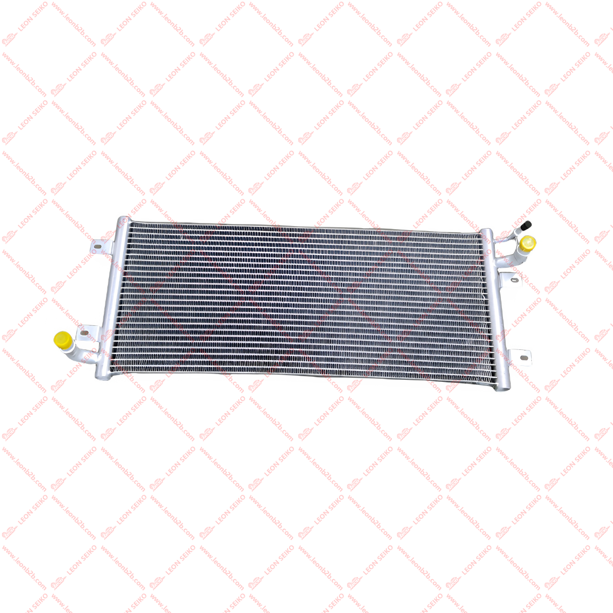 13919011-00_LEON
