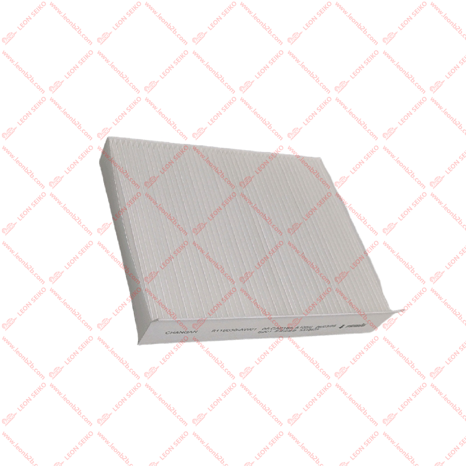 8119030-PT03_LEON