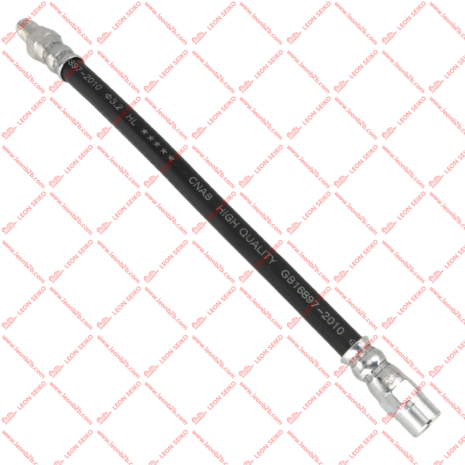 443611775A-3_LEON