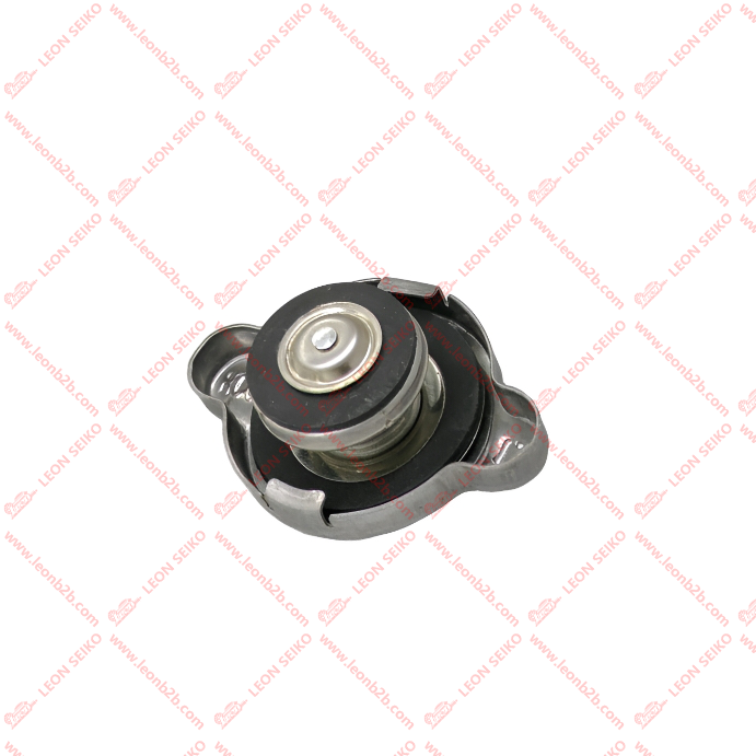 25330-3K000_LEON