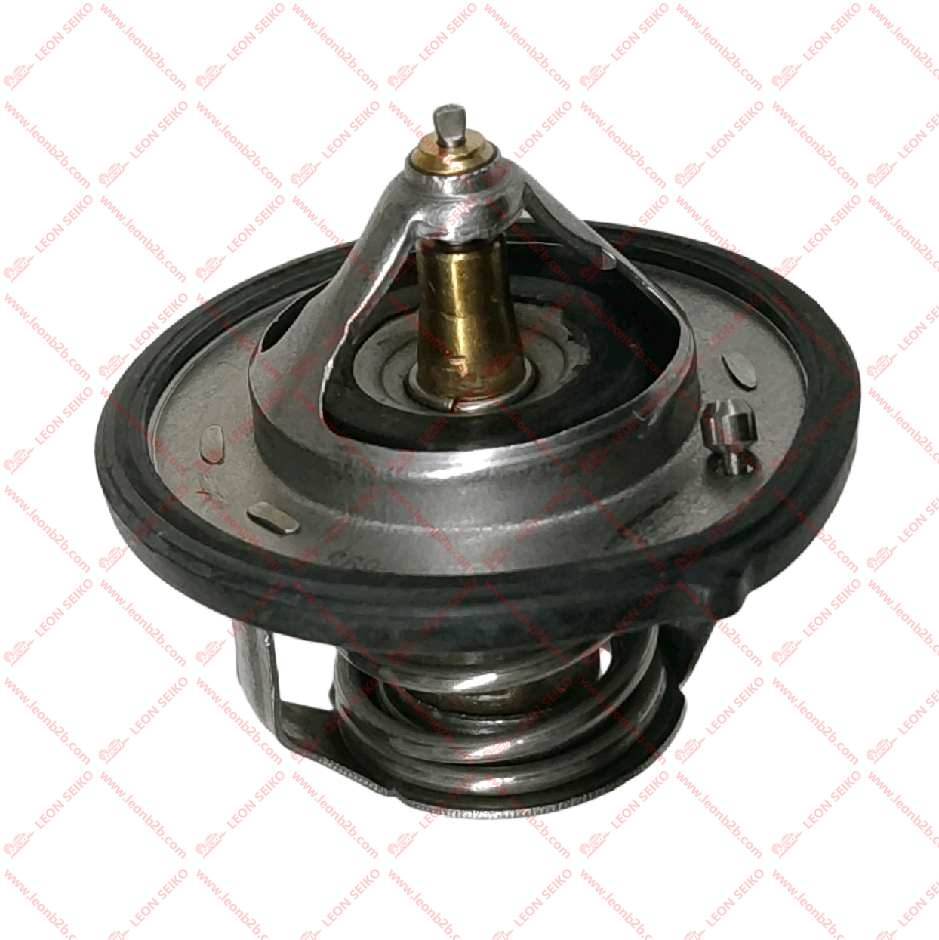 25500-2A100_LEON