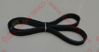 6PK1030_BEAR