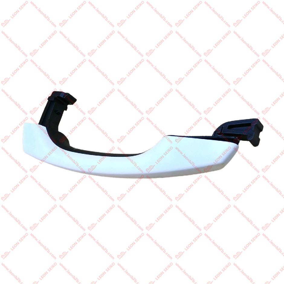 6205630-BS01-AA_LEON