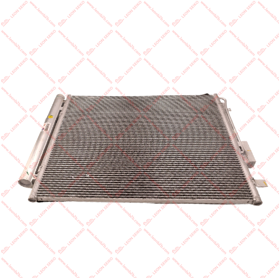 97606-C5000_LEON