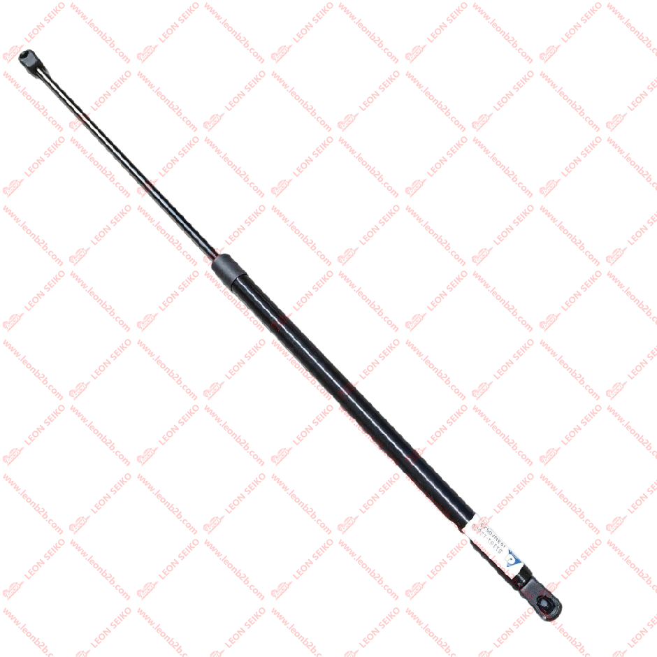 81161-L2000_LEON
