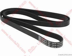 6PK1814_LEON