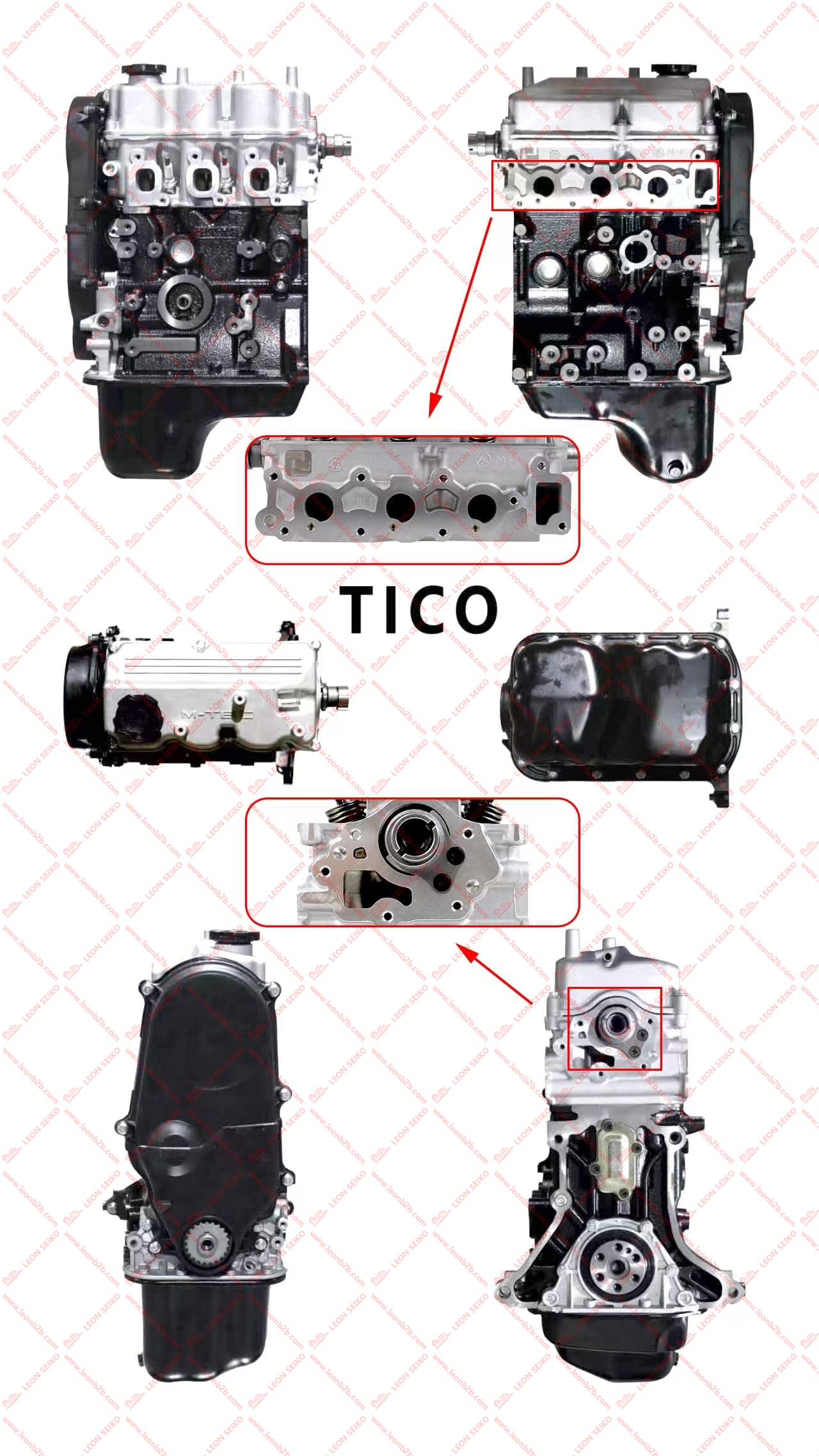 F8CV/TICO_LEON