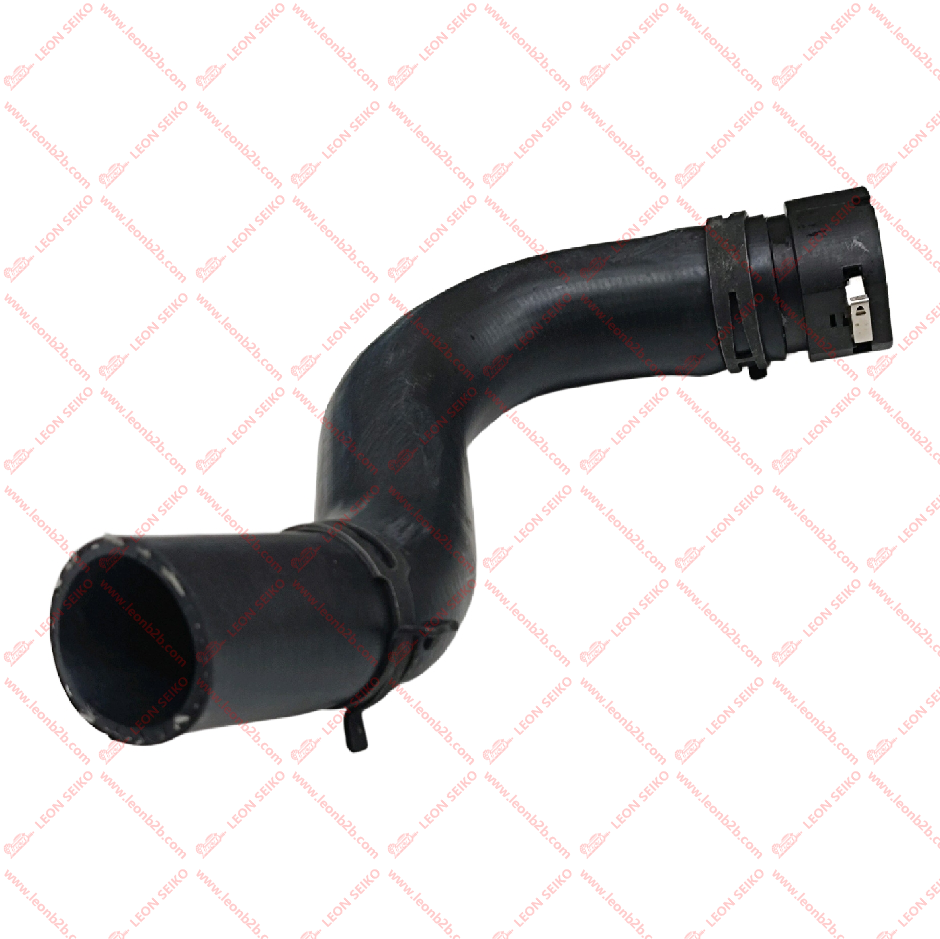 25415-BU000_LEON