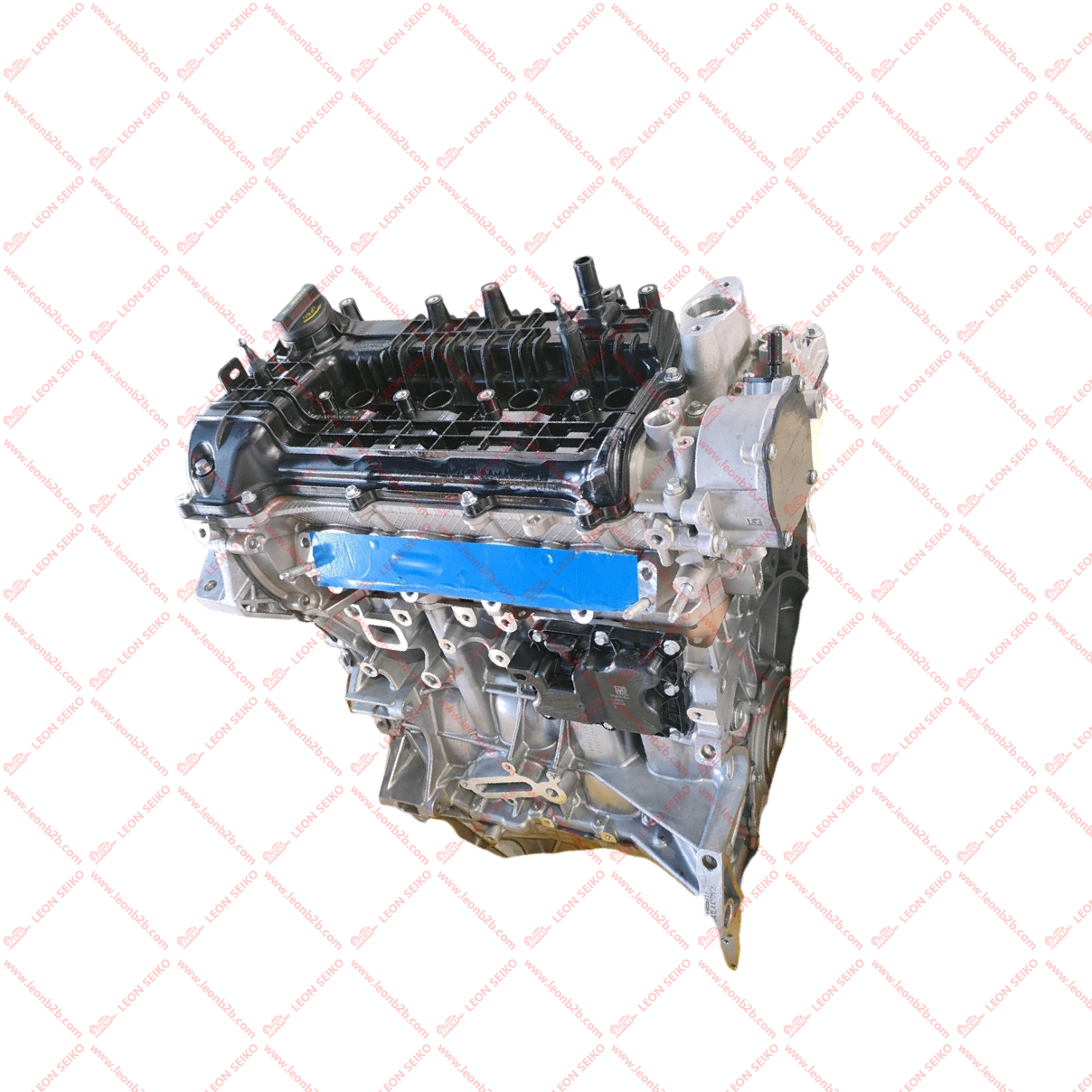 NE15T000-0580_LEON