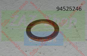 94525246_BEAR