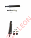 96169523_LEON