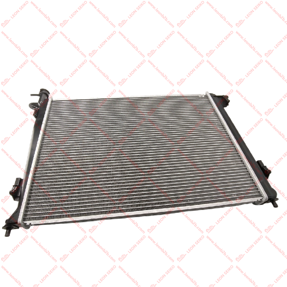 25310-2S550_LEON