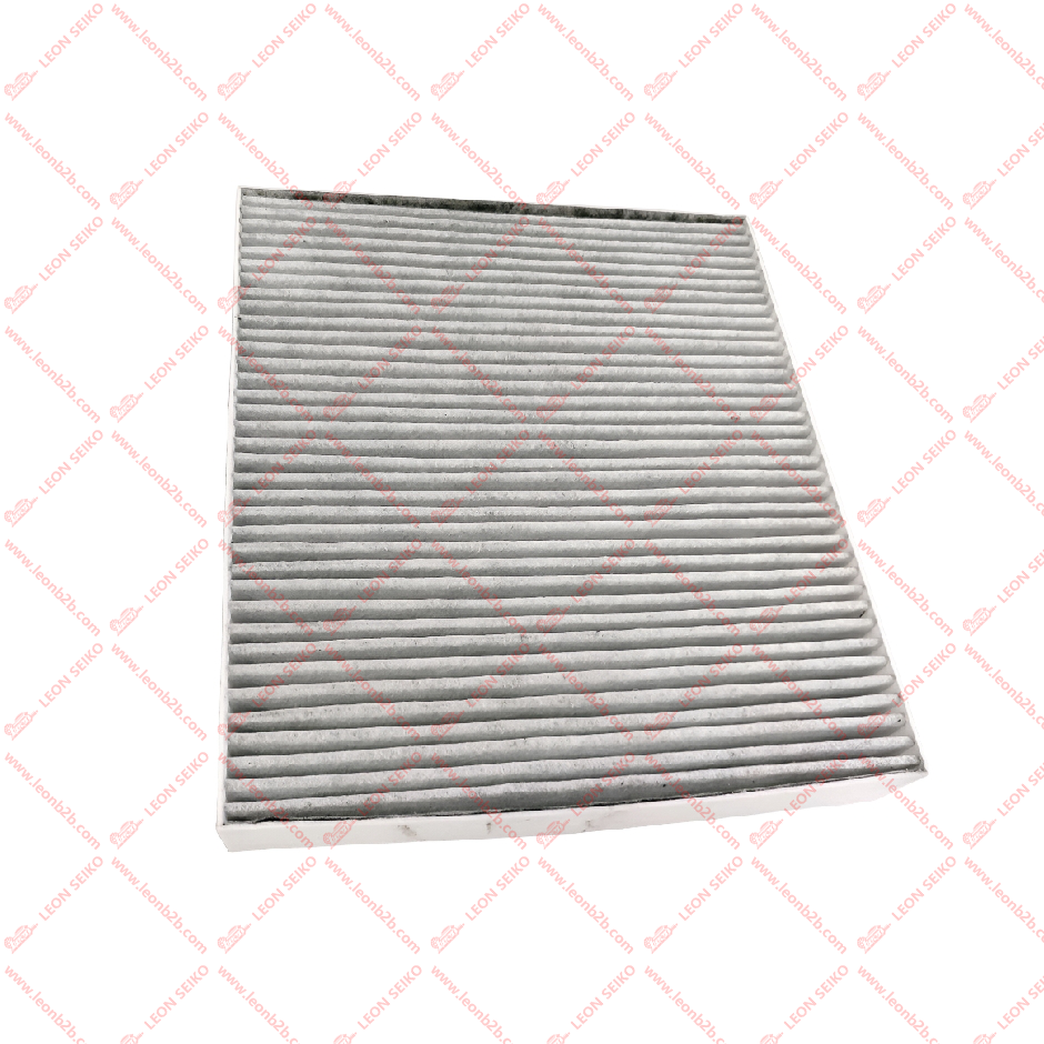 X03-90000206._LEON
