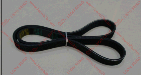 6PK1030_BEAR