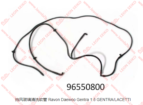 96550800_LEON