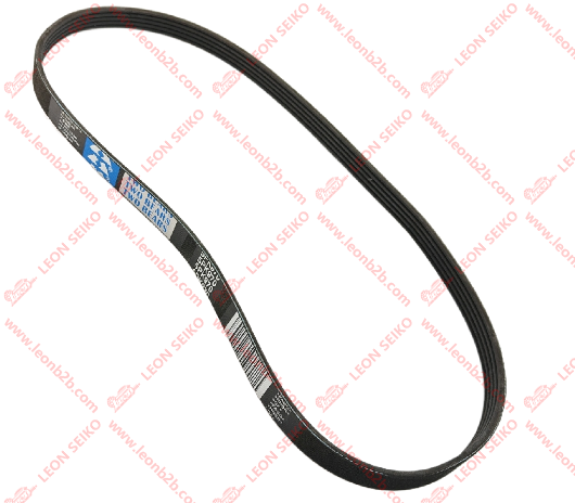 5PK970_BEAR