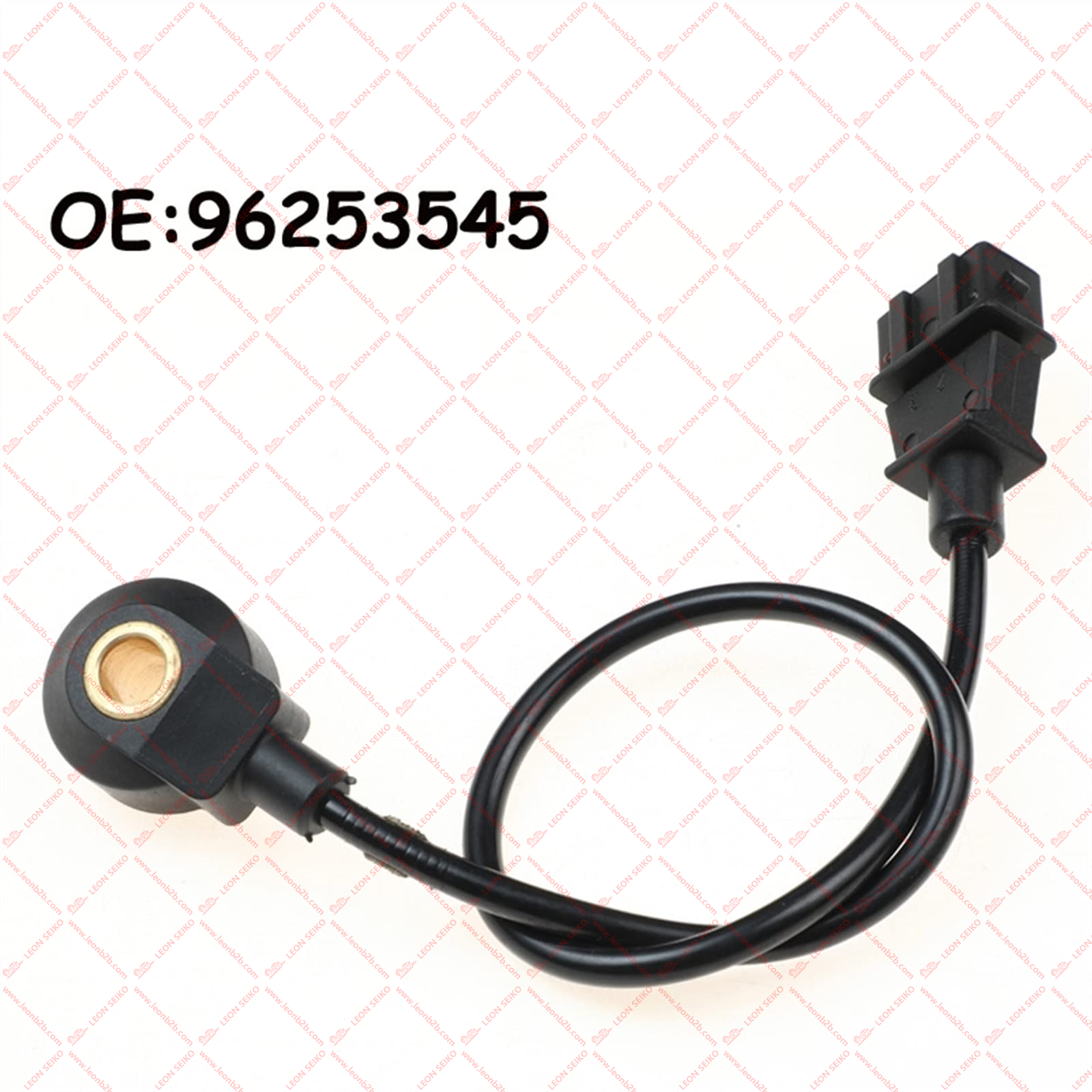 96253545_LEON