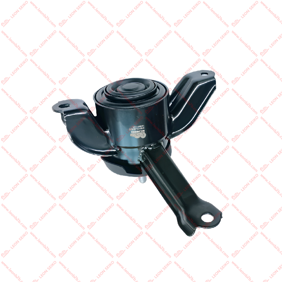 21810-J0000_LEON