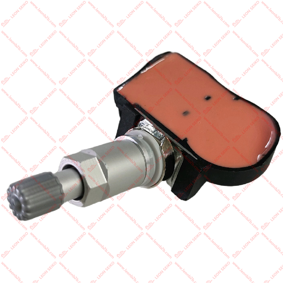 52933-D2100_LEON