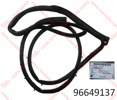 96649137_LEON
