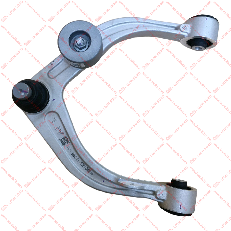 X01-29040011_LEON