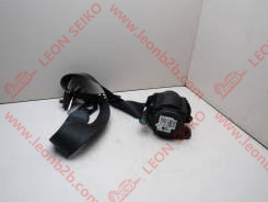42344466_LEON