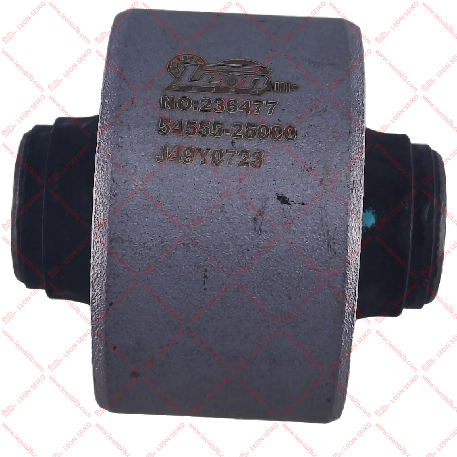 54555-25000_LEON