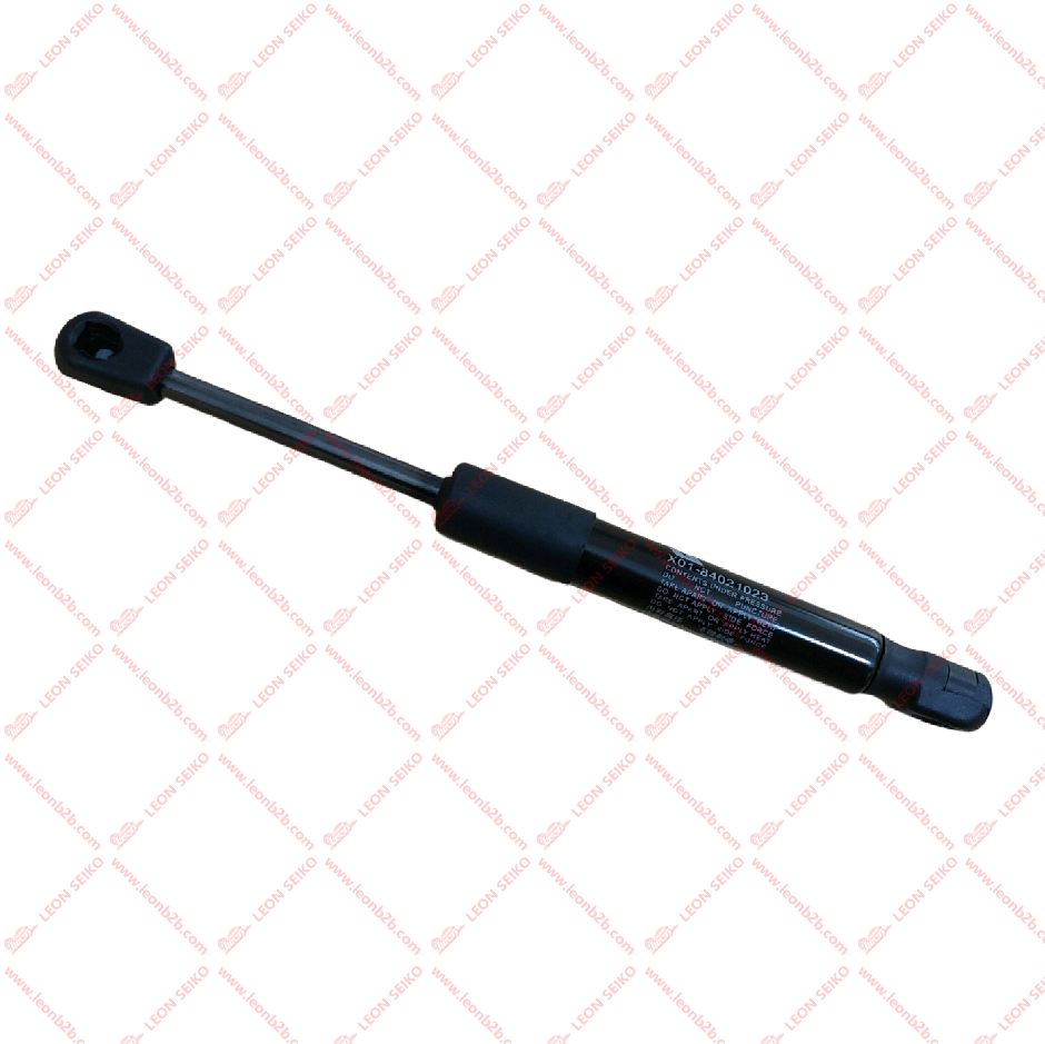 X01-84021023_LEON
