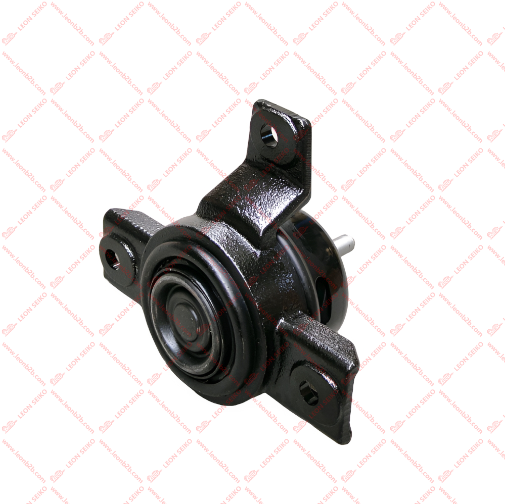 21810-2P100_LEON