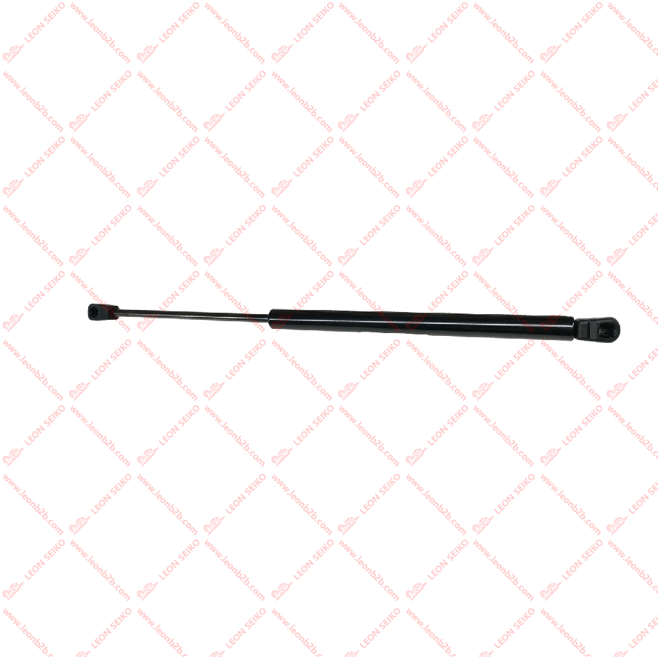 81770-G6010_LEON