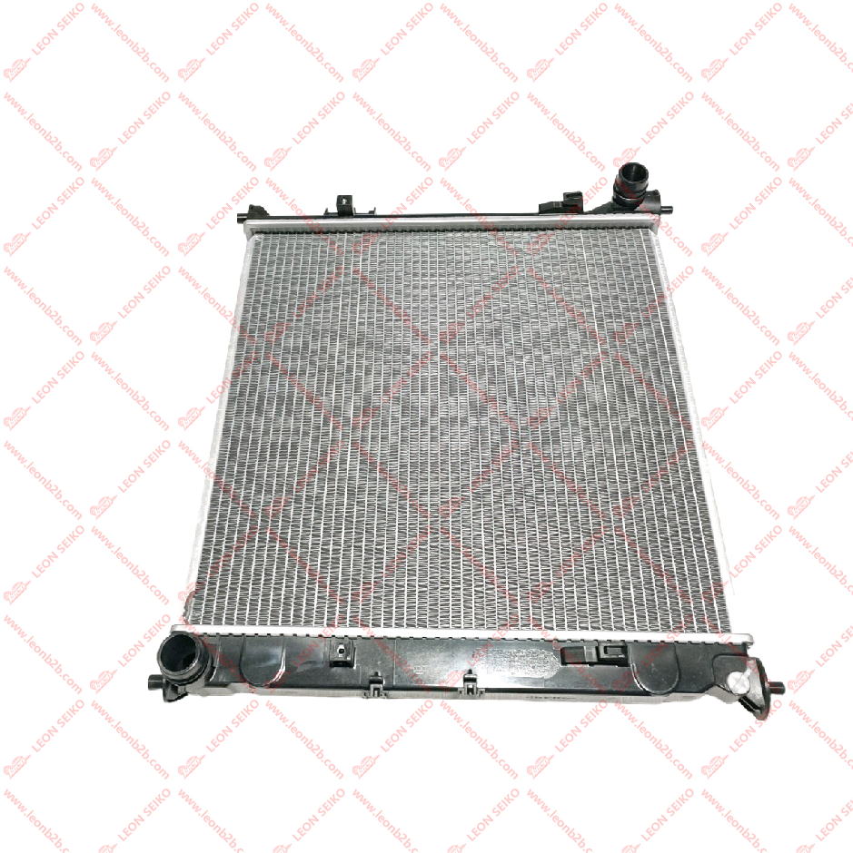 25310-L2000_LEON